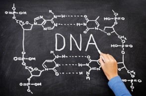 Our Genetic Blueprint: Conspiracy Theory?