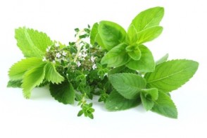 Top 3 Herbs for Women's Health