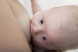 Breastfeeding Myths &amp; Facts