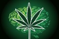 Ask Dr. Mike: Can Marijuana Cure Brain Cancer & Can Magnesium Improve Asthma?