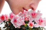 Sense of Smell &amp; Your Health: Can Your Nose Predict Early Death?