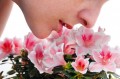 Sense of Smell & Your Health: Can Your Nose Predict Early Death?