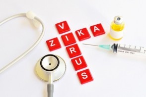 Zika Virus Explained
